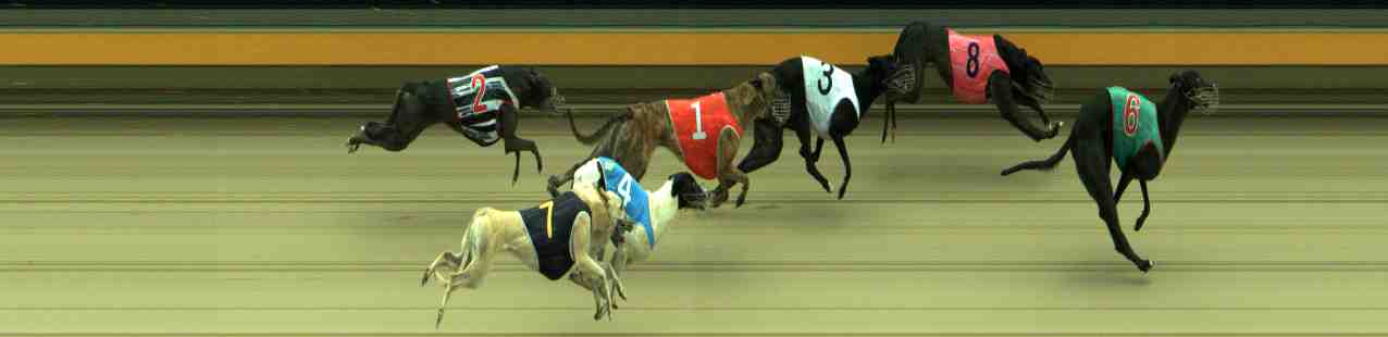 Race result finish photo